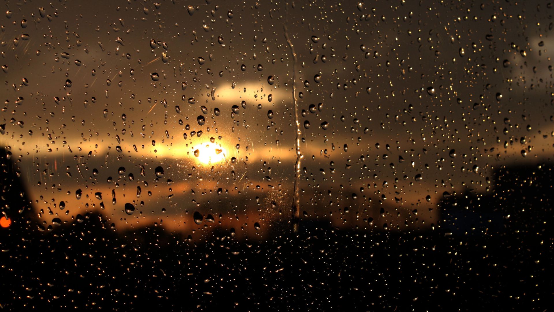 water drops on a window