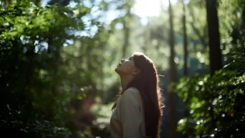 Person standing in a sunlit forest looking upward, symbolizing healing and hope while coping with post traumatic stress in Ohio